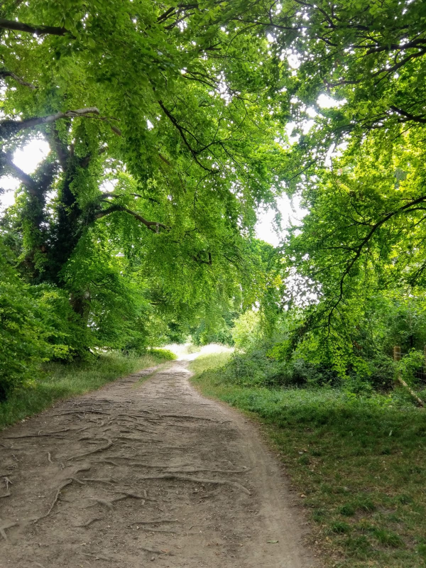 on Deakin Hill